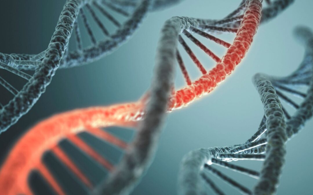 Human DNA Is Incredibly Long