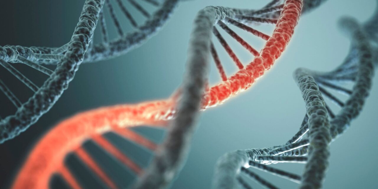 Human DNA Is Incredibly Long