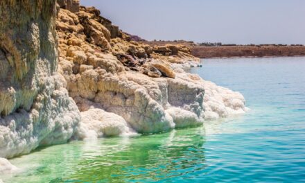 The Dead Sea Sinks Every Year by a Meter
