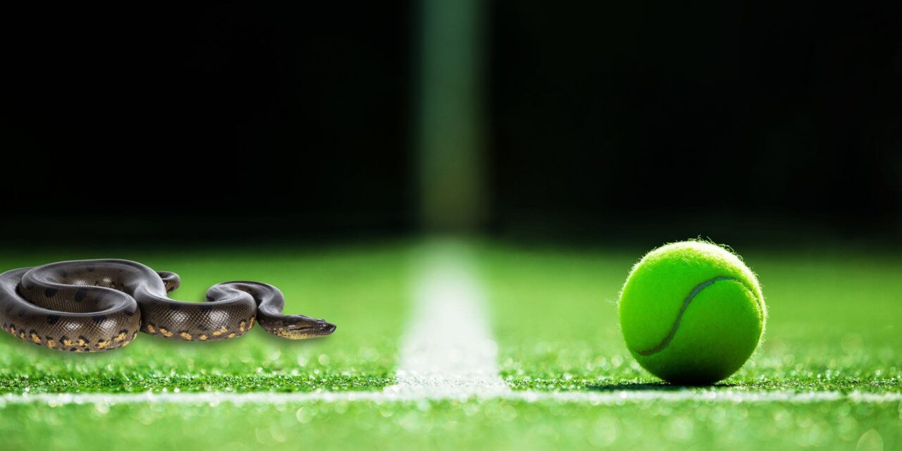Snakebite Incident at Wimbledon